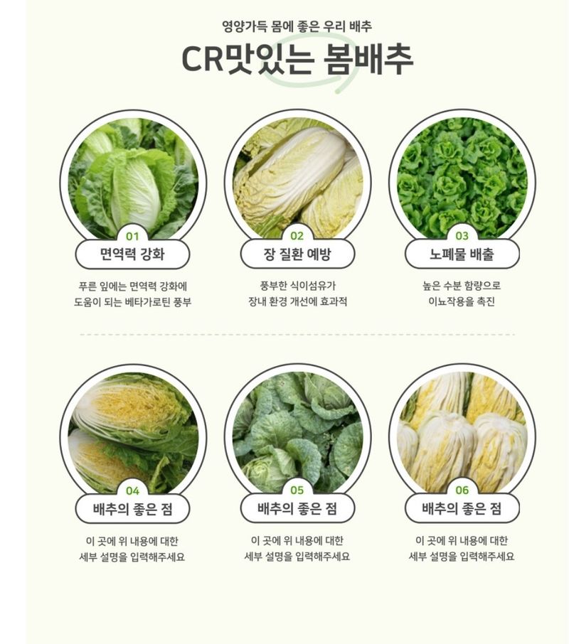 대산농사대장님의 장터 판매 상품 [CR 맛있는 봄배추 2000립 ] 첨부 사진