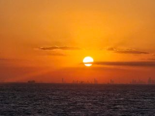 주니맘님의 자유주제 · 자유게시판 작성글 사진