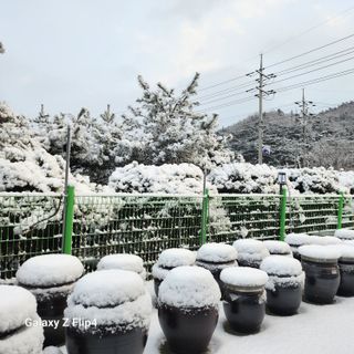 맹태임님의 자유주제 · 자유게시판 작성글 사진