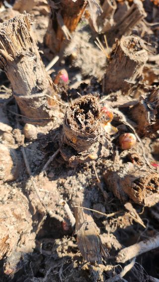 정미리님의 자유주제 · 자유게시판 작성글 사진