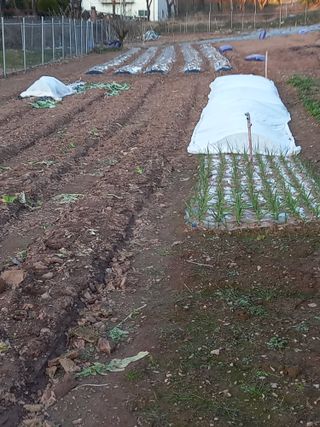 전진욱님의 2월 농사 계획 공유해요 · 참여글 작성글 사진