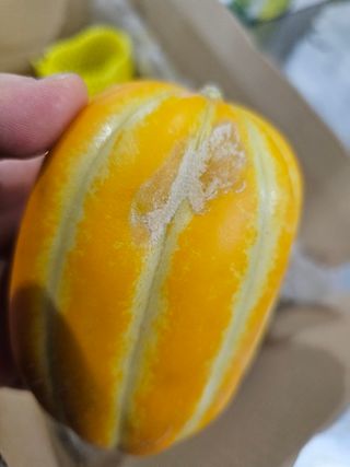 써니네님의 작성글 사진