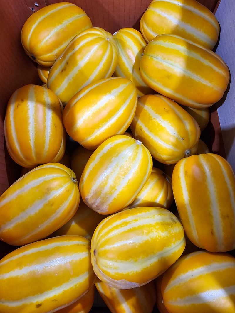 장터 상품 [달달 성주참외(가정용) 5키로] 썸네일