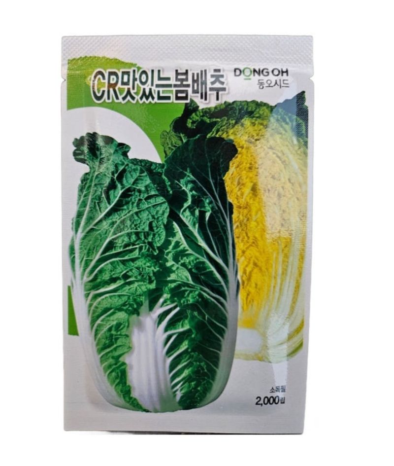 장터 상품 [CR 맛있는 봄배추 2000립 ] 썸네일