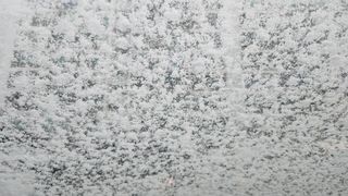 정미리님의 자유주제 · 자유게시판 작성글 사진