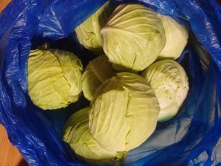 삼성농산님의 자유주제 · 자유게시판 작성글 사진