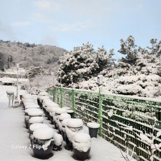 맹태임님의 자유주제 · 자유게시판 작성글 사진