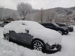 금동이네님의 자유주제 · 자유게시판 작성글 사진