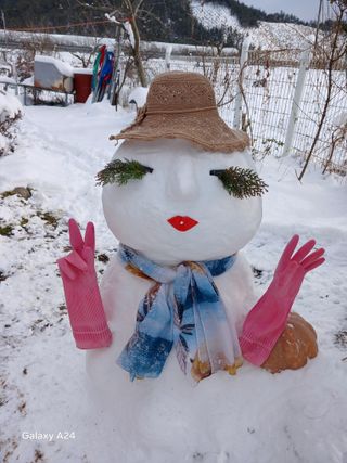 금동이네님의 자유주제 · 자유게시판 작성글 사진