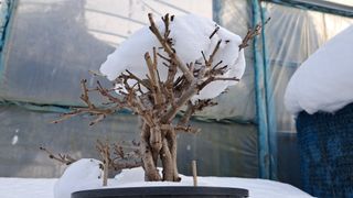 이정운님의 자유주제 · 자유게시판 작성글 사진