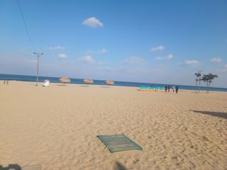 이정민님의 자유주제 · 자유게시판 작성글 사진