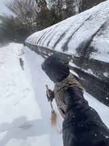 팜모닝 자유주제·자유게시판 게시글 이미지