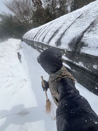 한밭농원님의 자유주제 · 자유게시판 작성글 사진