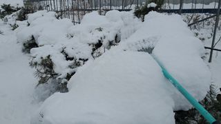 이정운님의 자유주제 · 자유게시판 작성글 사진