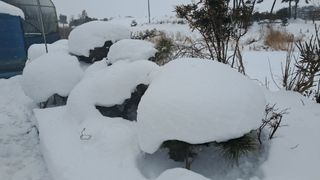 이정운님의 자유주제 · 자유게시판 작성글 사진