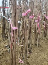 팜모닝 자유주제·자유게시판 게시글 이미지