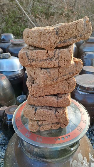 장수농장님의 자유주제 · 자유게시판 작성글 사진