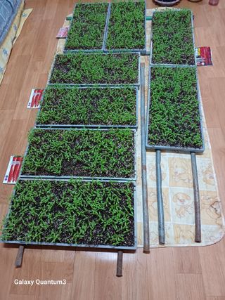 이창우님의 자유주제 · 자유게시판 작성글 사진