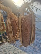 팜모닝 자유주제·자유게시판 게시글 이미지