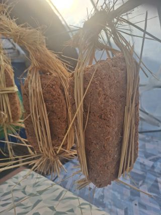 대봉은행나무님의 자유주제 · 자유게시판 작성글 사진