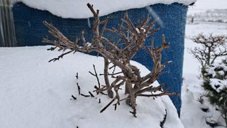 이정운님의 자유주제 · 자유게시판 작성글 사진