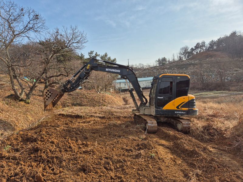 채수정 님의 장터 판매 상품 [고사리종근 10kg] 첨부 사진