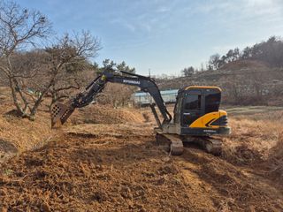 채수정 님의 작성글 사진