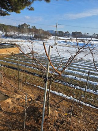 자연인님의 자유주제 · 자유게시판 작성글 사진