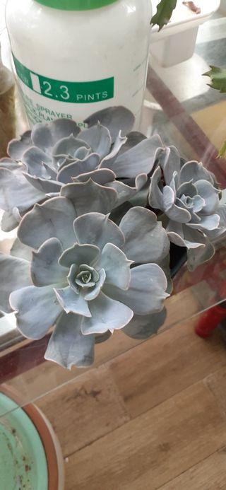 옥수수108701님의 2월 농사 계획 공유해요 · 참여글 작성글 사진