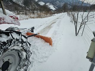 백용기님의 자유주제 · 자유게시판 작성글 사진