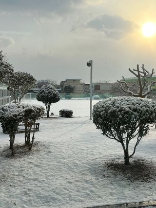 농업마켓365님의 자유주제 · 자유게시판 작성글 사진