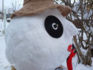 금동이네님의 자유주제 · 자유게시판 작성글 사진