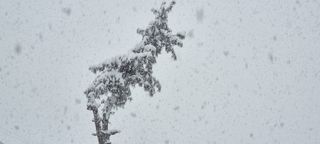 애플사랑님의 자유주제 · 자유게시판 작성글 사진