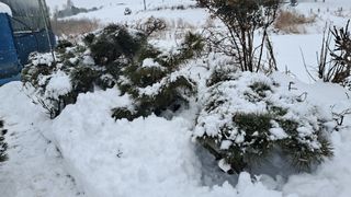 이정운님의 자유주제 · 자유게시판 작성글 사진