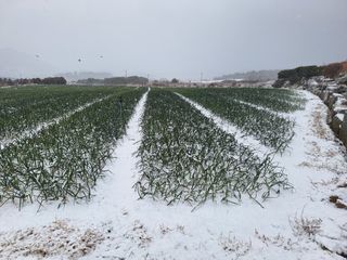 김은숙님의 자유주제 · 자유게시판 작성글 사진