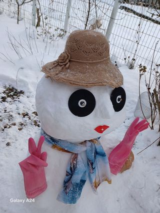 금동이네님의 자유주제 · 자유게시판 작성글 사진