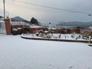 김은숙님의 자유주제 · 자유게시판 작성글 사진