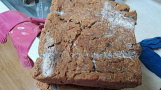 장수농장님의 자유주제 · 자유게시판 작성글 사진