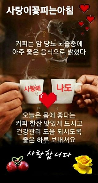 SOUL님의 자유주제 · 자유게시판 작성글 사진
