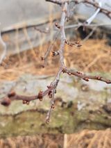 팜모닝 자유주제·자유게시판 게시글 이미지