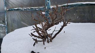 이정운님의 자유주제 · 자유게시판 작성글 사진