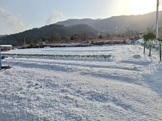 김은숙님의 자유주제 · 자유게시판 작성글 사진