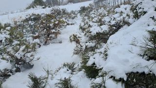 이정운님의 자유주제 · 자유게시판 작성글 사진