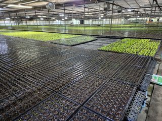 청운농원육묘장님의 2월 농사 계획 공유해요 · 참여글 작성글 사진