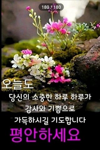 송명석님의 자유주제 · 자유게시판 작성글 사진