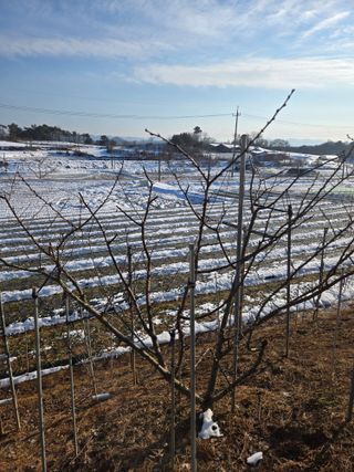 자연인님의 자유주제 · 자유게시판 작성글 사진