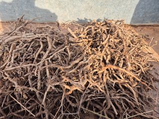 채수정 님의 작성글 사진