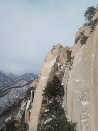 이정민님의 자유주제 · 자유게시판 작성글 사진