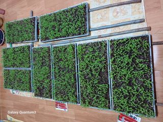 이창우님의 자유주제 · 자유게시판 작성글 사진