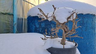 이정운님의 자유주제 · 자유게시판 작성글 사진